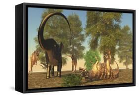 Confrontation Between an Apatosaurus and a Group of Ceratosaurus-Stocktrek Images-Framed Stretched Canvas
