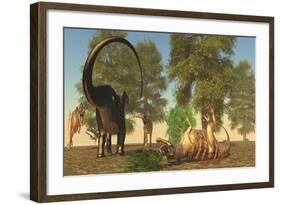 Confrontation Between an Apatosaurus and a Group of Ceratosaurus-Stocktrek Images-Framed Art Print