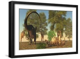 Confrontation Between an Apatosaurus and a Group of Ceratosaurus-Stocktrek Images-Framed Art Print