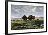 Confrontation Between Bulls in a Buffalo Herd, Great Plains-null-Framed Giclee Print