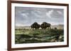 Confrontation Between Bulls in a Buffalo Herd, Great Plains-null-Framed Giclee Print