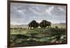Confrontation Between Bulls in a Buffalo Herd, Great Plains-null-Framed Giclee Print