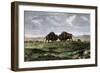 Confrontation Between Bulls in a Buffalo Herd, Great Plains-null-Framed Giclee Print