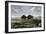 Confrontation Between Bulls in a Buffalo Herd, Great Plains-null-Framed Giclee Print