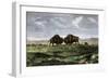 Confrontation Between Bulls in a Buffalo Herd, Great Plains-null-Framed Premium Giclee Print