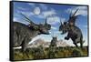 Confrontation Between Male Styracosaurus Dinosaurs-null-Framed Stretched Canvas