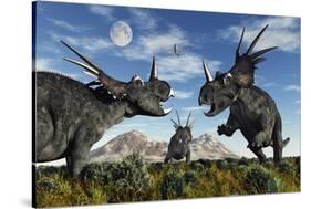 Confrontation Between Male Styracosaurus Dinosaurs-null-Stretched Canvas