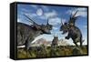 Confrontation Between Male Styracosaurus Dinosaurs-null-Framed Stretched Canvas