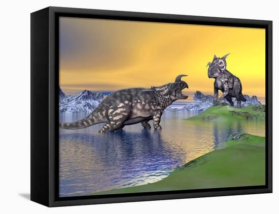 Confrontation Between Two Einiosaurus Dinosaurs-null-Framed Stretched Canvas