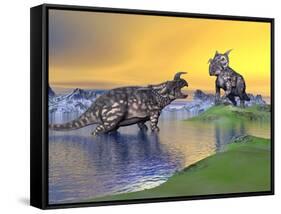 Confrontation Between Two Einiosaurus Dinosaurs-null-Framed Stretched Canvas