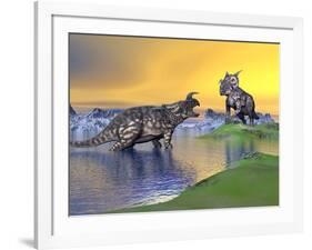 Confrontation Between Two Einiosaurus Dinosaurs-null-Framed Art Print