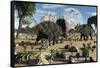 Confrontation Between Two Male Albertaceratops-null-Framed Stretched Canvas