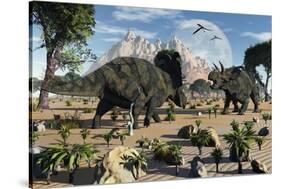 Confrontation Between Two Male Albertaceratops-null-Stretched Canvas