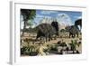 Confrontation Between Two Male Albertaceratops-null-Framed Art Print