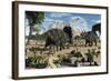 Confrontation Between Two Male Albertaceratops-null-Framed Art Print