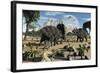 Confrontation Between Two Male Albertaceratops-null-Framed Art Print