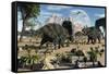 Confrontation Between Two Male Albertaceratops-null-Framed Stretched Canvas