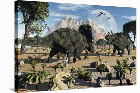 Confrontation Between Two Male Albertaceratops-null-Stretched Canvas