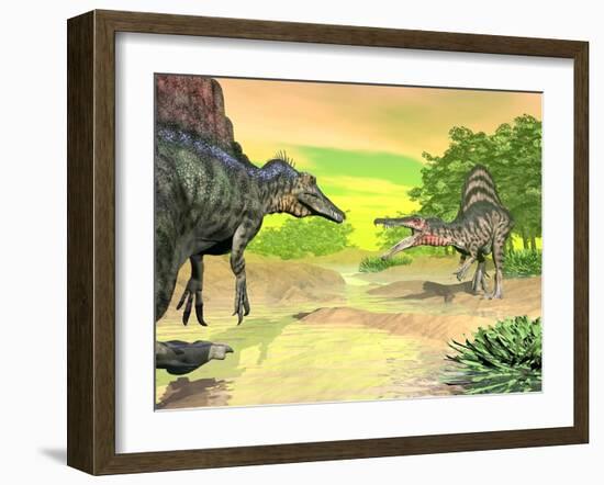 Confrontation Between Two Spinosaurus Dinosaurs-null-Framed Art Print