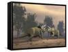 Confrontation Between Two Triceratops-null-Framed Stretched Canvas