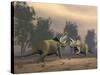 Confrontation Between Two Triceratops-null-Stretched Canvas