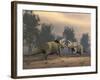 Confrontation Between Two Triceratops-null-Framed Art Print