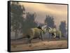 Confrontation Between Two Triceratops-null-Framed Stretched Canvas