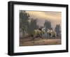 Confrontation Between Two Triceratops-null-Framed Art Print