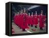 Confucian Ceremony, Chonghyo Shrine, Seoul, South Korea, Korea, Asia-Alain Evrard-Framed Stretched Canvas