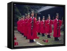 Confucian Ceremony, Chonghyo Shrine, Seoul, South Korea, Korea, Asia-Alain Evrard-Framed Stretched Canvas