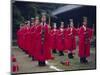 Confucian Ceremony, Chonghyo Shrine, Seoul, South Korea, Korea, Asia-Alain Evrard-Mounted Photographic Print