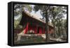 Confucius Forest and Cemetery, Qufu, UNESCO World Heritage Site, Shandong province, China, Asia-Michael Snell-Framed Stretched Canvas