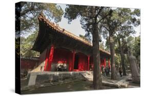 Confucius Forest and Cemetery, Qufu, UNESCO World Heritage Site, Shandong province, China, Asia-Michael Snell-Stretched Canvas