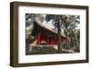 Confucius Forest and Cemetery, Qufu, UNESCO World Heritage Site, Shandong province, China, Asia-Michael Snell-Framed Photographic Print