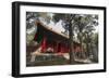 Confucius Forest and Cemetery, Qufu, UNESCO World Heritage Site, Shandong province, China, Asia-Michael Snell-Framed Photographic Print