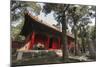 Confucius Forest and Cemetery, Qufu, UNESCO World Heritage Site, Shandong province, China, Asia-Michael Snell-Mounted Photographic Print