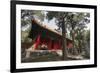 Confucius Forest and Cemetery, Qufu, UNESCO World Heritage Site, Shandong province, China, Asia-Michael Snell-Framed Photographic Print