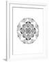 Confusion Mandala-Nicky Kumar-Framed Giclee Print