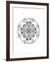 Confusion Mandala-Nicky Kumar-Framed Giclee Print