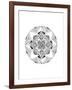 Confusion Mandala-Nicky Kumar-Framed Giclee Print