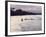 Congo River Near Kisangani, Democratic Republic of Congo (Zaire), Africa-David Beatty-Framed Photographic Print