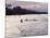 Congo River Near Kisangani, Democratic Republic of Congo (Zaire), Africa-David Beatty-Mounted Photographic Print