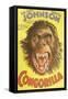 Congorilla-null-Framed Stretched Canvas
