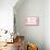Congrats - it's a Baby Girl-Lantern Press-Stretched Canvas displayed on a wall