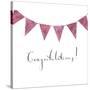 Congratulations Bunting-Elizabeth Rider-Stretched Canvas