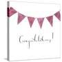 Congratulations Bunting-Elizabeth Rider-Stretched Canvas