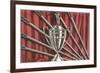 Congratulations Champ, Golf Trophy-null-Framed Premium Giclee Print