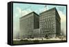Congress Hotel and Annex, Chicago-null-Framed Stretched Canvas