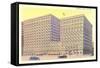 Congress Hotel-null-Framed Stretched Canvas