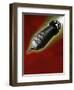 Congress II-Anthony Freda-Framed Giclee Print